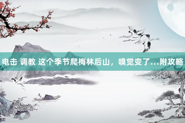 电击 调教 这个季节爬梅林后山,嗅觉变了…附攻略