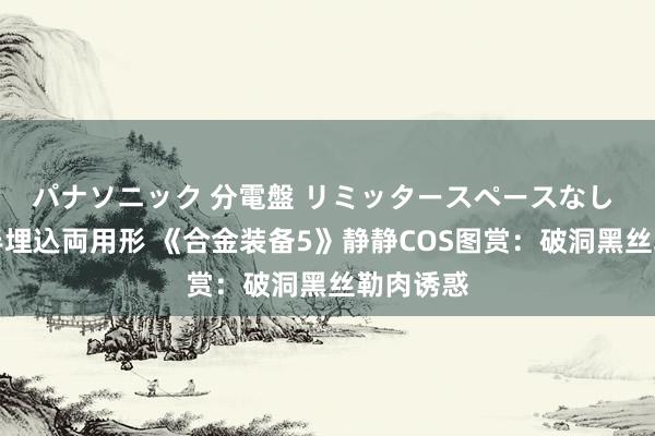 パナソニック 分電盤 リミッタースペースなし 露出・半埋込両用形 《合金装备5》静静COS图赏:破洞黑丝勒肉诱惑