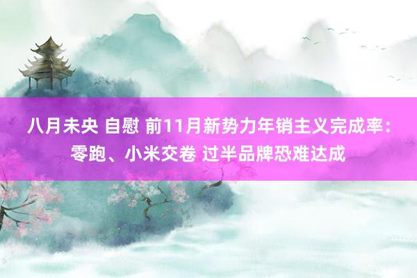 八月未央 自慰 前11月新势力年销主义完成率：零跑、小米交卷 过半品牌恐难达成