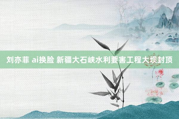 刘亦菲 ai换脸 新疆大石峡水利要害工程大坝封顶