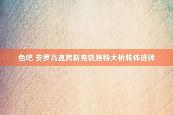 色吧 安罗高速跨新兖铁路特大桥转体班师
