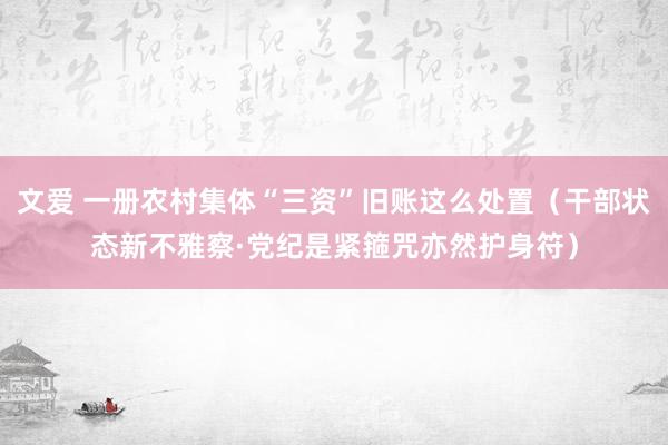 文爱 一册农村集体“三资”旧账这么处置（干部状态新不雅察·党纪是紧箍咒亦然护身符）