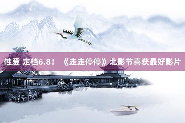 性爱 定档6.8！ 《走走停停》北影节喜获最好影片