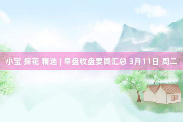 小宝 探花 精选 | 早盘收盘要闻汇总 3月11日 周二