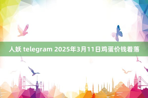 人妖 telegram 2025年3月11日鸡蛋价钱着落