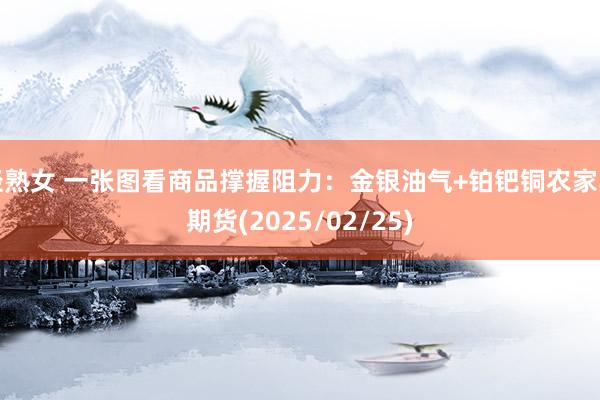 轻熟女 一张图看商品撑握阻力：金银油气+铂钯铜农家具期货(2025/02/25)