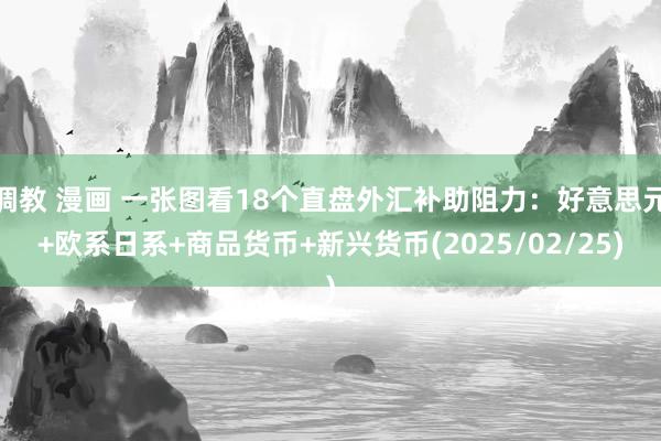 调教 漫画 一张图看18个直盘外汇补助阻力：好意思元+欧系日系+商品货币+新兴货币(2025/02/25)