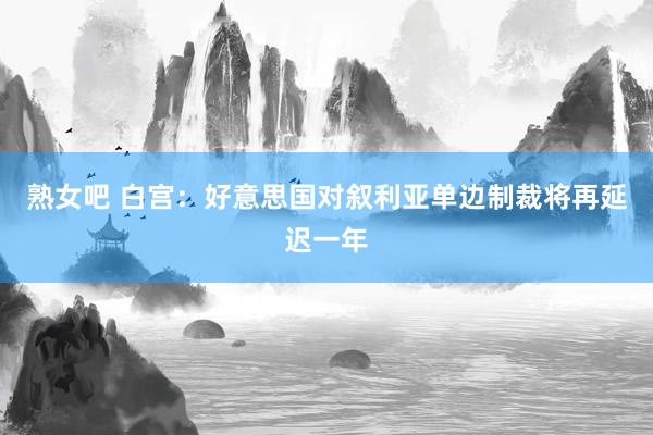 熟女吧 白宫:好意思国对叙利亚单边制裁将再延迟一年