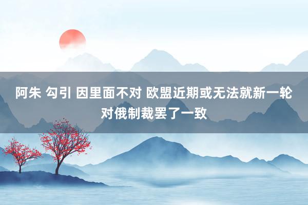 阿朱 勾引 因里面不对 欧盟近期或无法就新一轮对俄制裁罢了一致