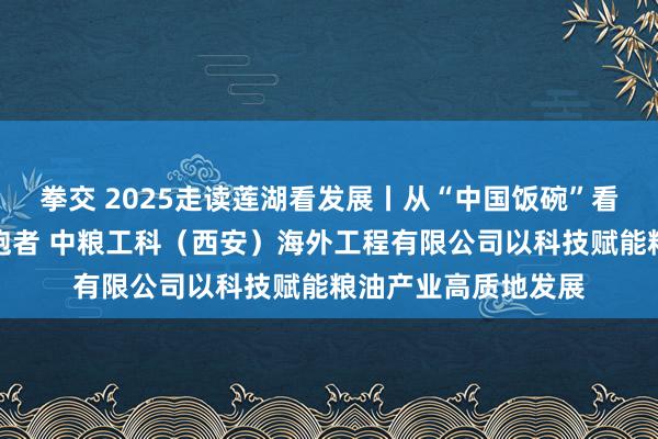 拳交 2025走读莲湖看发展丨从“中国饭碗”看管者到粮油科技领跑者 中粮工科（西安）海外工程有限公司以科技赋能粮油产业高质地发展
