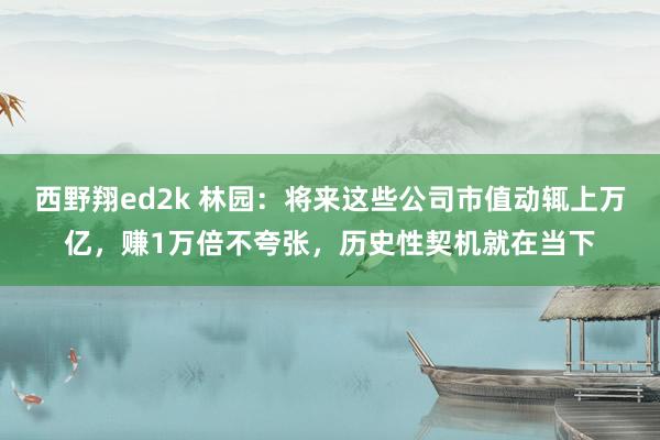 西野翔ed2k 林园：将来这些公司市值动辄上万亿，赚1万倍不夸张，历史性契机就在当下