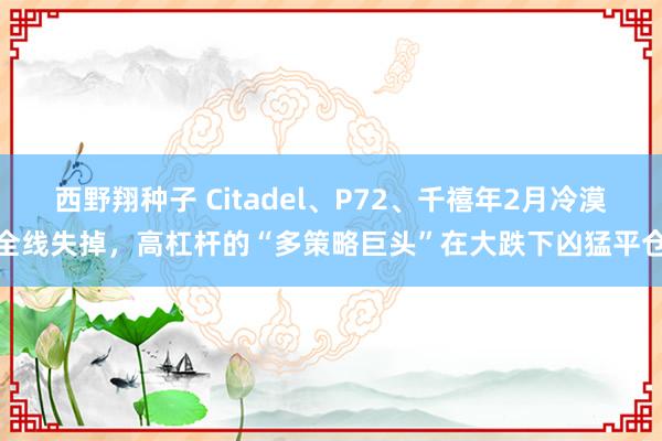 西野翔种子 Citadel、P72、千禧年2月冷漠全线失掉，高杠杆的“多策略巨头”在大跌下凶猛平仓