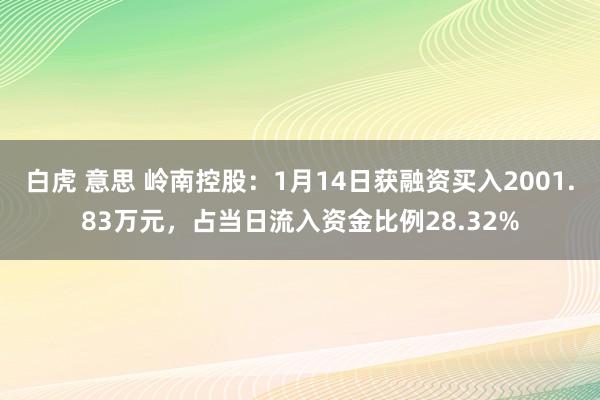 白虎 意思 岭南控股：1月14日获融资买入2001.83万元，占当日流入资金比例28.32%