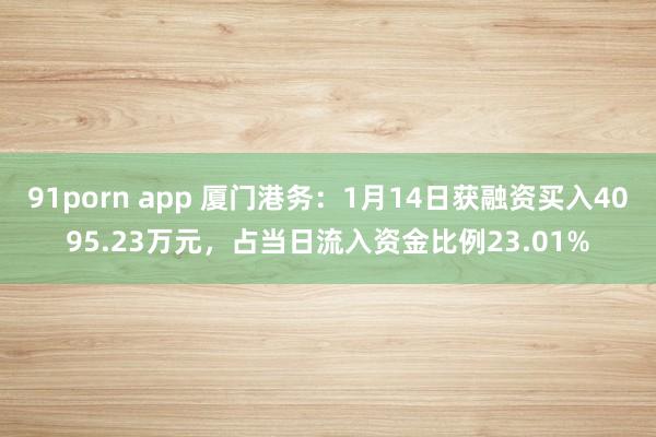 91porn app 厦门港务：1月14日获融资买入4095.23万元，占当日流入资金比例23.01%