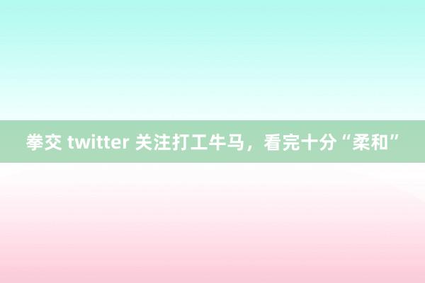 拳交 twitter 关注打工牛马，看完十分“柔和”