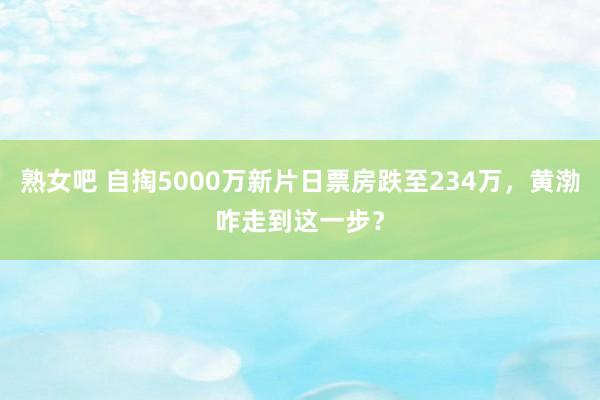 熟女吧 自掏5000万新片日票房跌至234万，黄渤咋走到这一步？