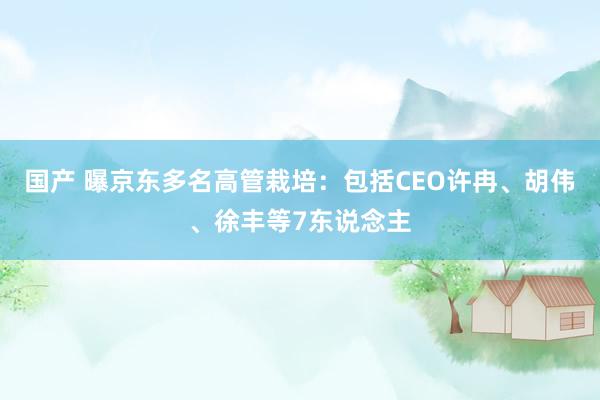 国产 曝京东多名高管栽培：包括CEO许冉、胡伟、徐丰等7东说念主