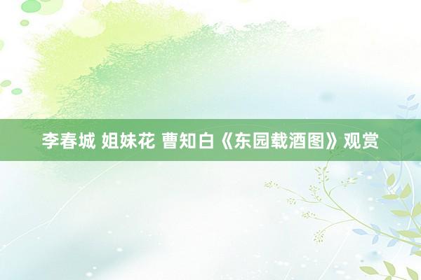 李春城 姐妹花 曹知白《东园载酒图》观赏