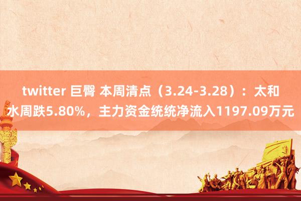 twitter 巨臀 本周清点（3.24-3.28）：太和水周跌5.80%，主力资金统统净流入1197.09万元
