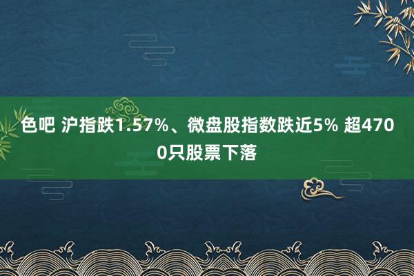色吧 沪指跌1.57%、微盘股指数跌近5% 超4700只股票下落