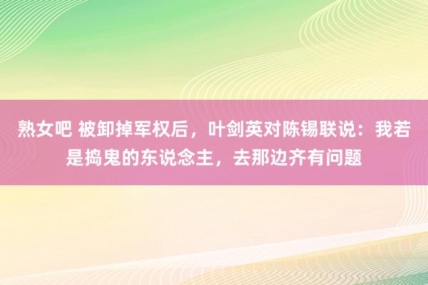 熟女吧 被卸掉军权后，叶剑英对陈锡联说：我若是捣鬼的东说念主，去那边齐有问题