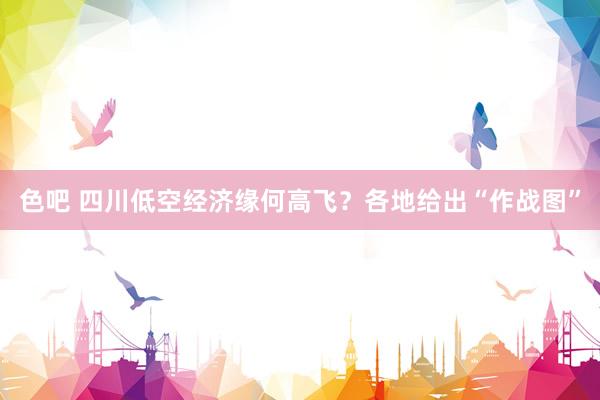 色吧 四川低空经济缘何高飞？各地给出“作战图”