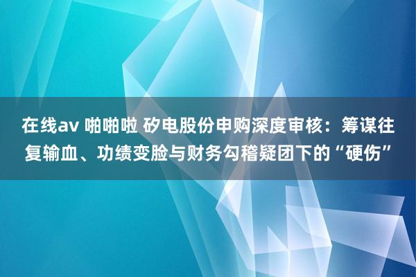 在线av 啪啪啦 矽电股份申购深度审核：筹谋往复输血、功绩变脸与财务勾稽疑团下的“硬伤”