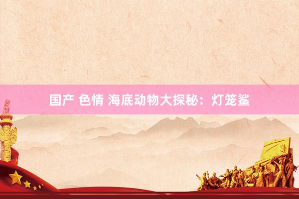 国产 色情 海底动物大探秘：灯笼鲨