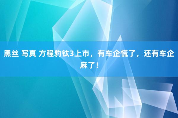 黑丝 写真 方程豹钛3上市，有车企慌了，还有车企麻了！