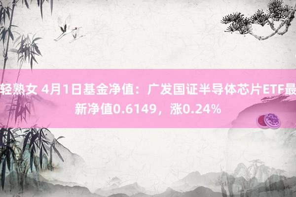 轻熟女 4月1日基金净值：广发国证半导体芯片ETF最新净值0.6149，涨0.24%