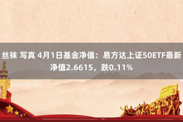 丝袜 写真 4月1日基金净值：易方达上证50ETF最新净值2.6615，跌0.11%