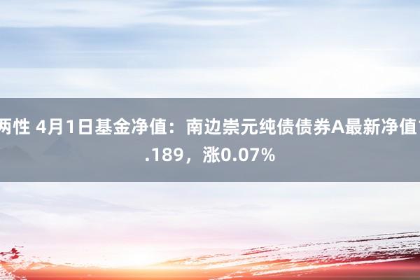 两性 4月1日基金净值：南边崇元纯债债券A最新净值1.189，涨0.07%