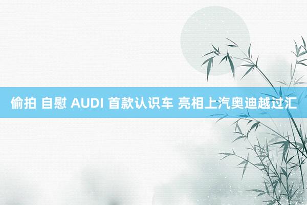 偷拍 自慰 AUDI 首款认识车 亮相上汽奥迪越过汇