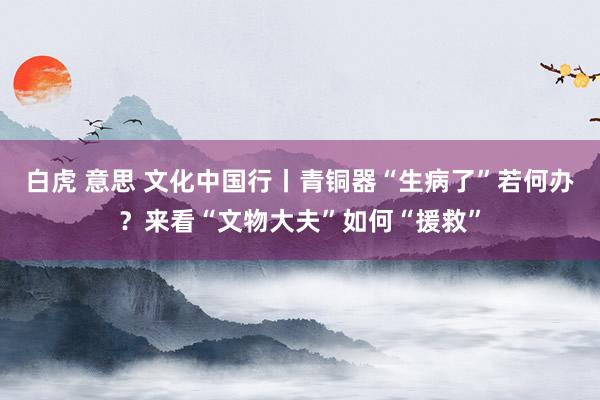 白虎 意思 文化中国行丨青铜器“生病了”若何办？来看“文物大夫”如何“援救”