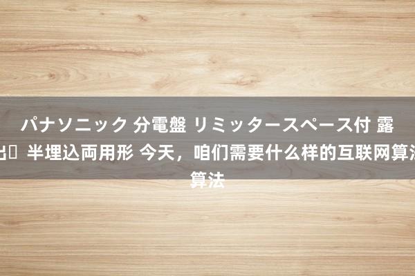 パナソニック 分電盤 リミッタースペース付 露出・半埋込両用形 今天，咱们需要什么样的互联网算法