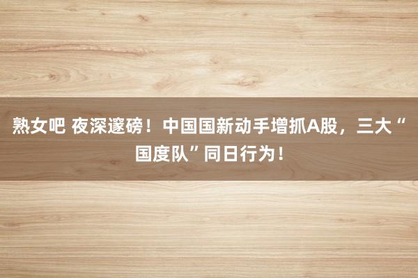 熟女吧 夜深邃磅！中国国新动手增抓A股，三大“国度队”同日行为！