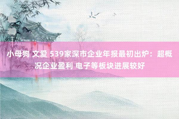 小母狗 文爱 539家深市企业年报最初出炉：超概况企业盈利 电子等板块进展较好