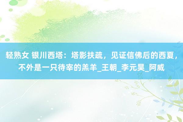 轻熟女 银川西塔：塔影扶疏，见证信佛后的西夏，不外是一只待宰的羔羊_王朝_李元昊_阿威
