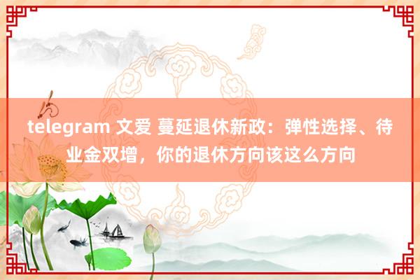 telegram 文爱 蔓延退休新政：弹性选择、待业金双增，你的退休方向该这么方向