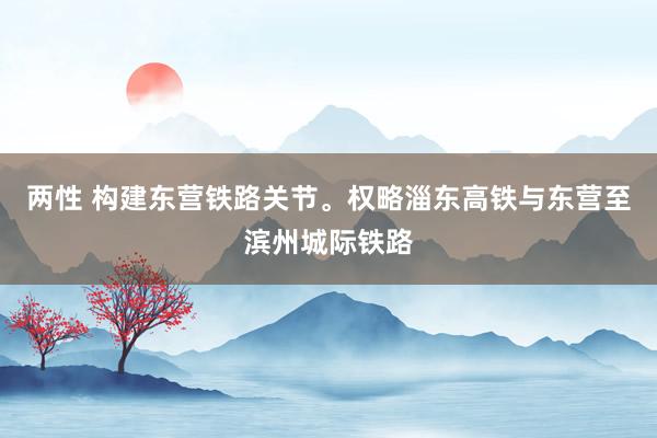 两性 构建东营铁路关节。权略淄东高铁与东营至滨州城际铁路