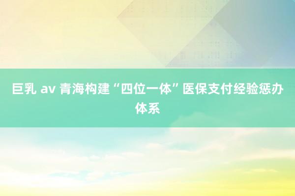 巨乳 av 青海构建“四位一体”医保支付经验惩办体系
