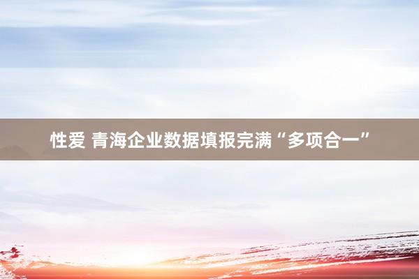 性爱 青海企业数据填报完满“多项合一”