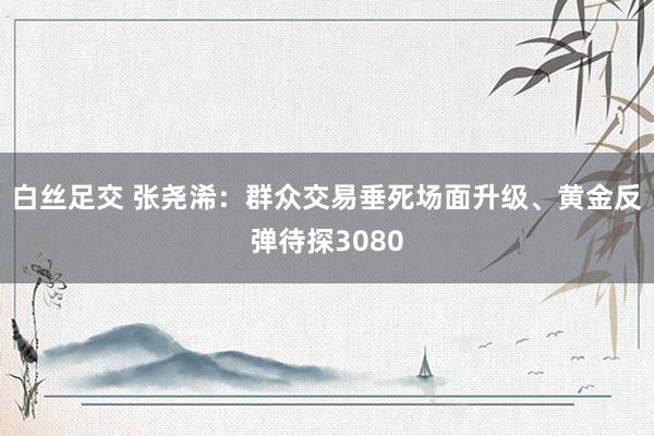 白丝足交 张尧浠：群众交易垂死场面升级、黄金反弹待探3080