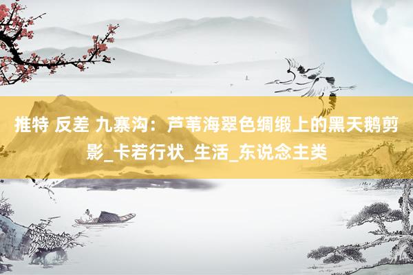 推特 反差 九寨沟：芦苇海翠色绸缎上的黑天鹅剪影_卡若行状_生活_东说念主类