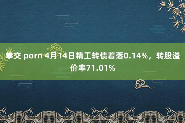 拳交 porn 4月14日精工转债着落0.14%，转股溢价率71.01%