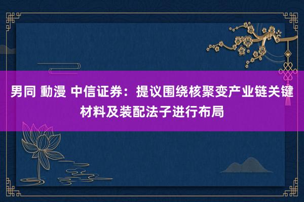 男同 動漫 中信证券：提议围绕核聚变产业链关键材料及装配法子进行布局