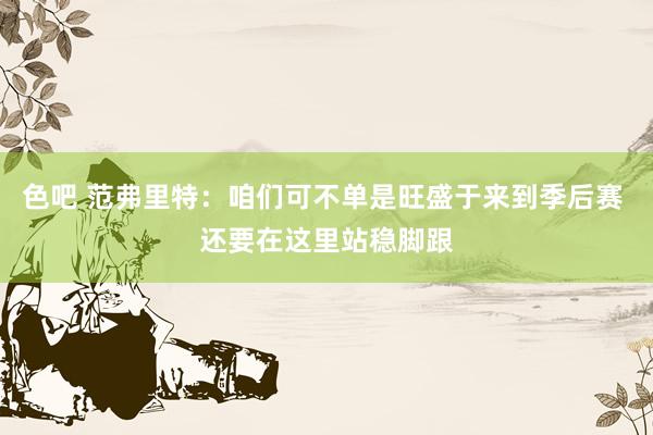 色吧 范弗里特：咱们可不单是旺盛于来到季后赛 还要在这里站稳脚跟