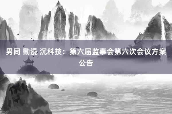 男同 動漫 沉科技：第六届监事会第六次会议方案公告