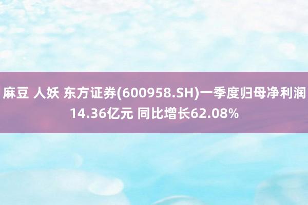 麻豆 人妖 东方证券(600958.SH)一季度归母净利润14.36亿元 同比增长62.08%