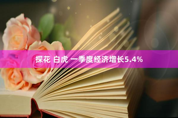 探花 白虎 一季度经济增长5.4%
